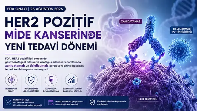 HER2 Pozitif Mide Kanserinde Yeni Dönem: FDA’dan Zanidatamab ve Tislelizumab Onayı