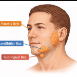 Tükürük bezi tümörleri